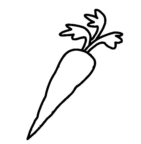 Carrot-Drawing-4