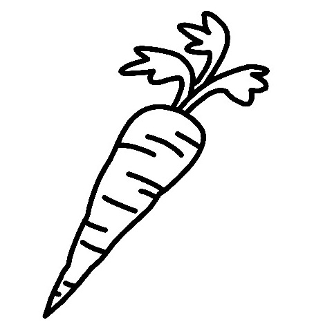 Carrot-Drawing-5