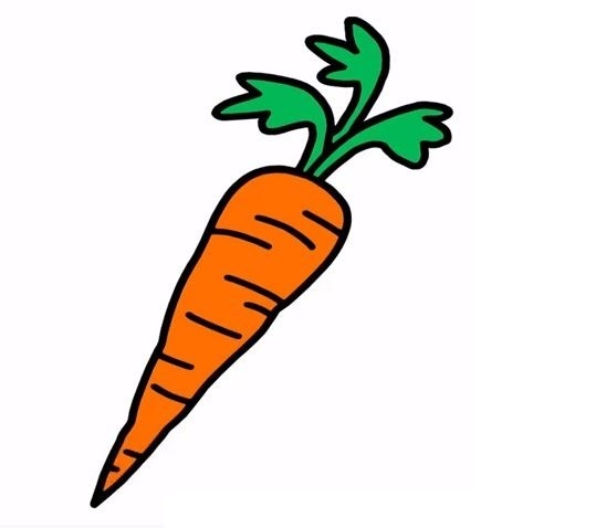 Carrot-Drawing-6