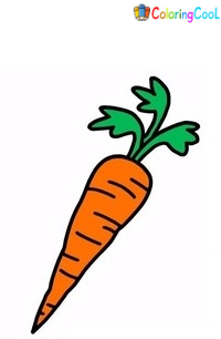 6 Simple Steps To Create A Fresh Carrot Drawing – How to Draw A Carrot Coloring Page