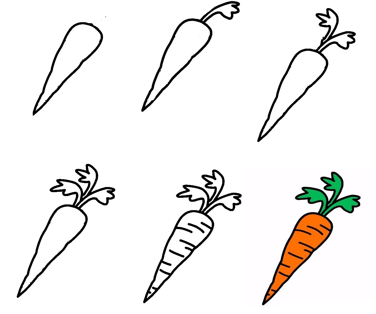 Carrot-Drawing