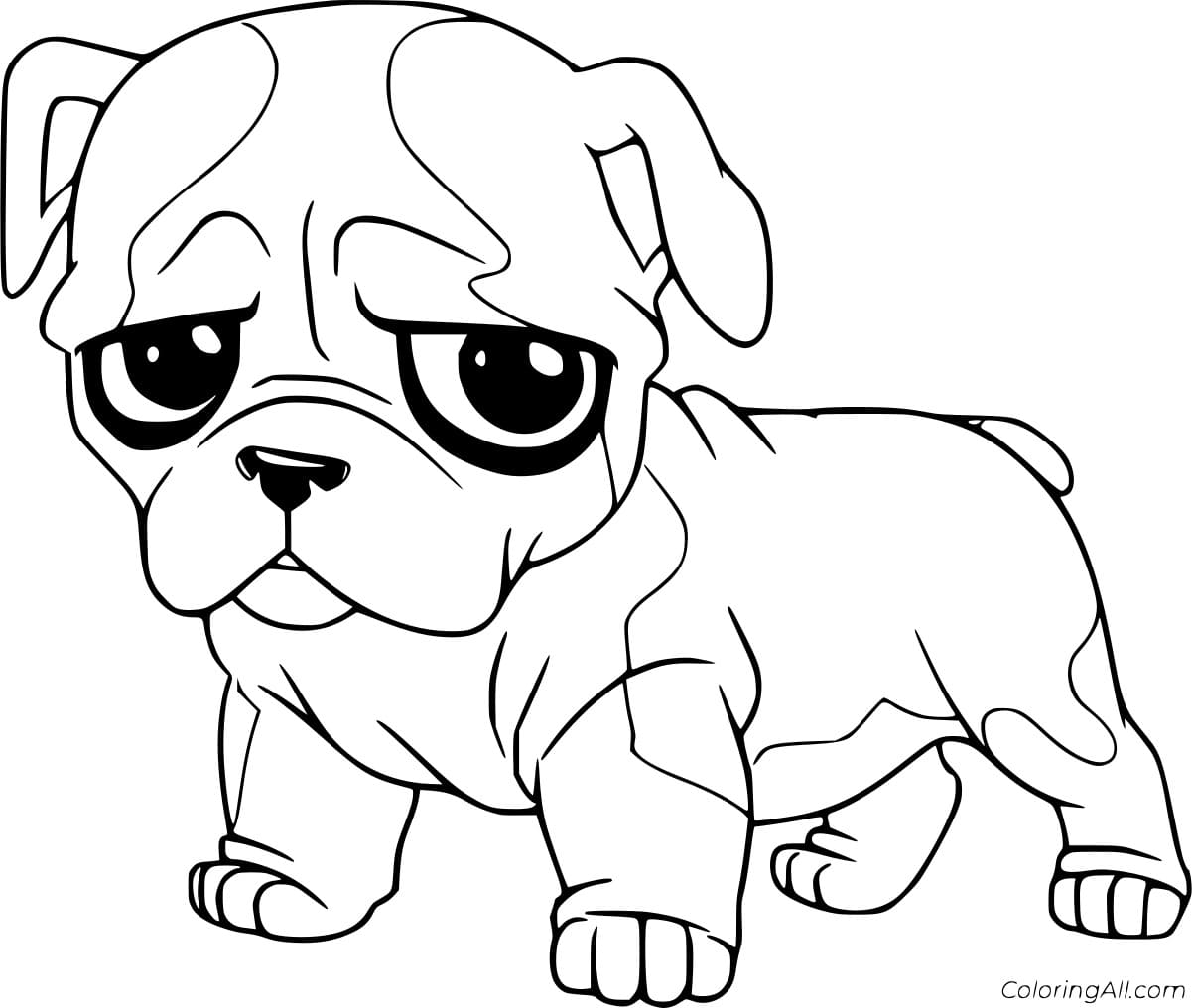 Cartoon Baby Bulldog Image Coloring Page