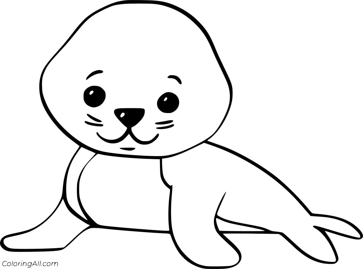 Cartoon Baby Seal Coloring Page