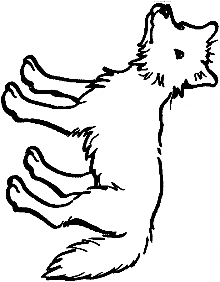 Cartoon Coyote Howling Moon For Children Coloring Page