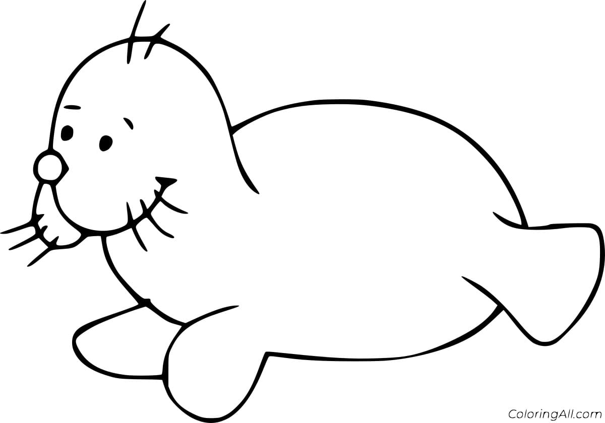 Cartoon Cute Seal Image Coloring Page