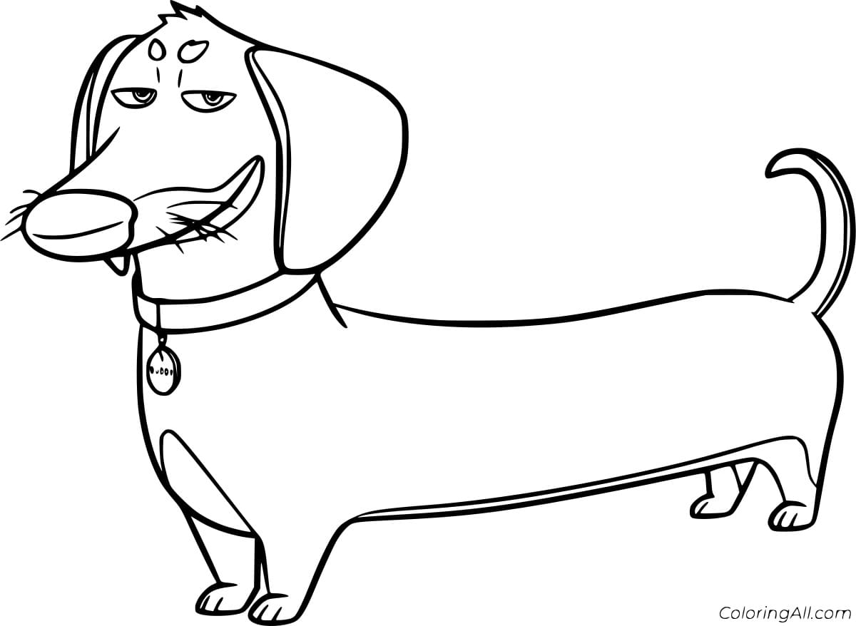 Cartoon Dachshund with a Collar Free Printable Coloring Page