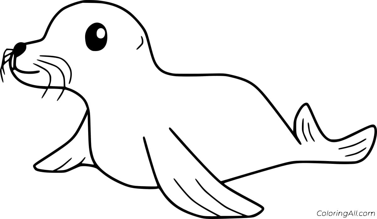 Cartoon Easy Seal Coloring Page