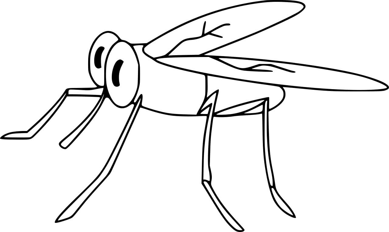 Cartoon Fly For Children Image Coloring Page