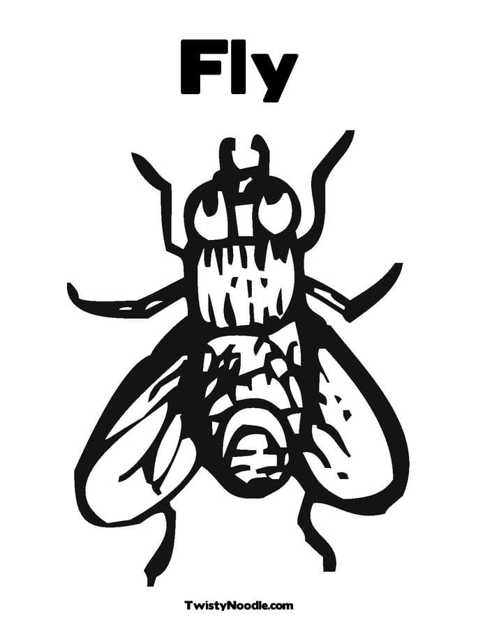 Cartoon Fly Coloring Page
