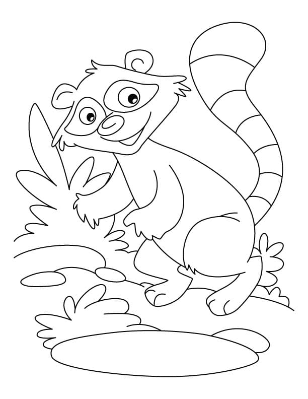 Cartoon Raccoon Funny For Kids Coloring Page
