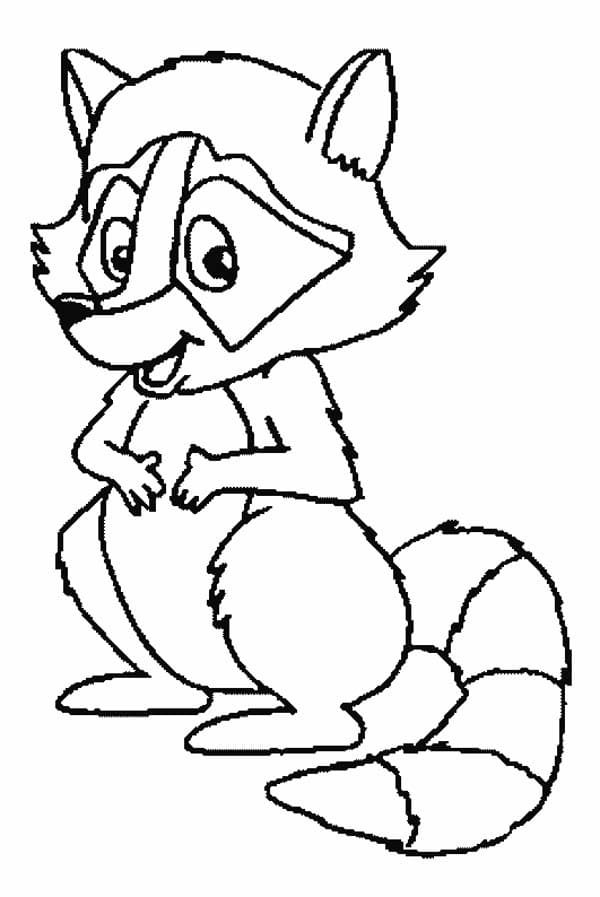 Cartoon Raccoon Funny For Kids Coloring Page