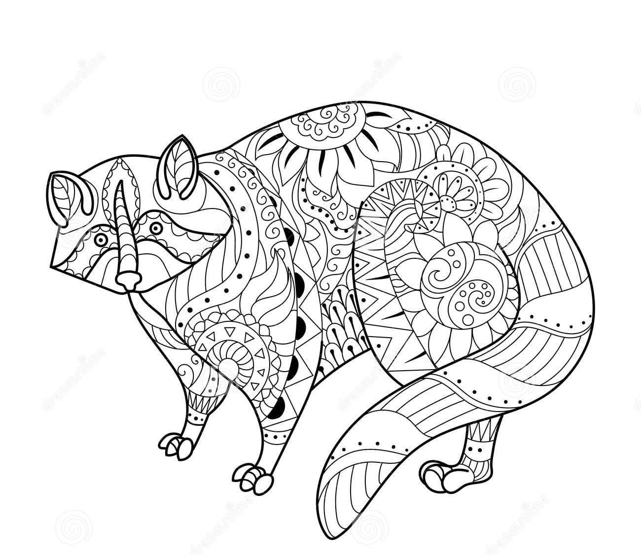 Cartoon Raccoon Lovely Coloring Page