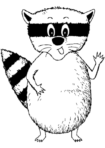 Cartoon Raccoon