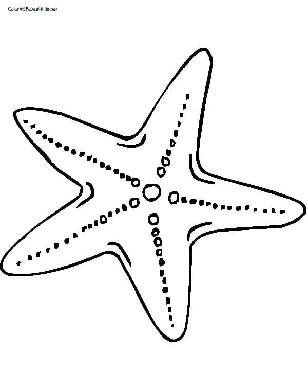 Cartoon Sea Star
