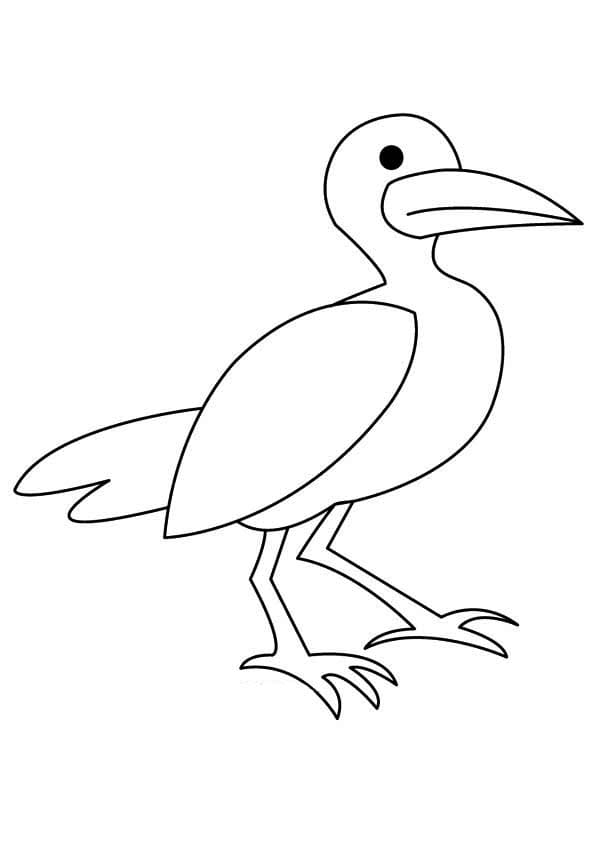 Cartoon Seagull Cute Coloring Page