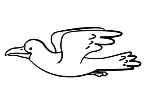 Cartoon Seagull Coloring Page
