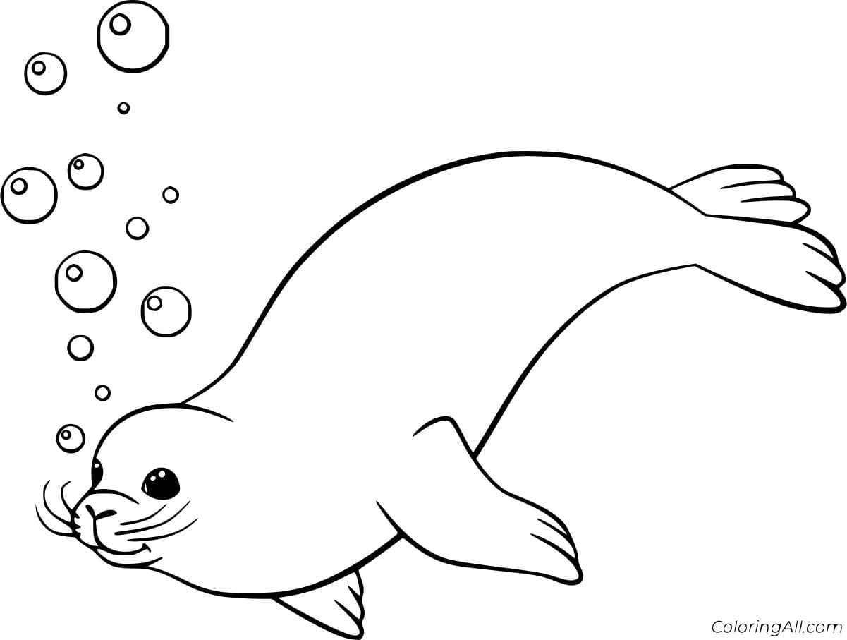 Cartoon Seal And Bubbles Coloring Page