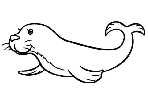 Cartoon Seal Image Coloring Page