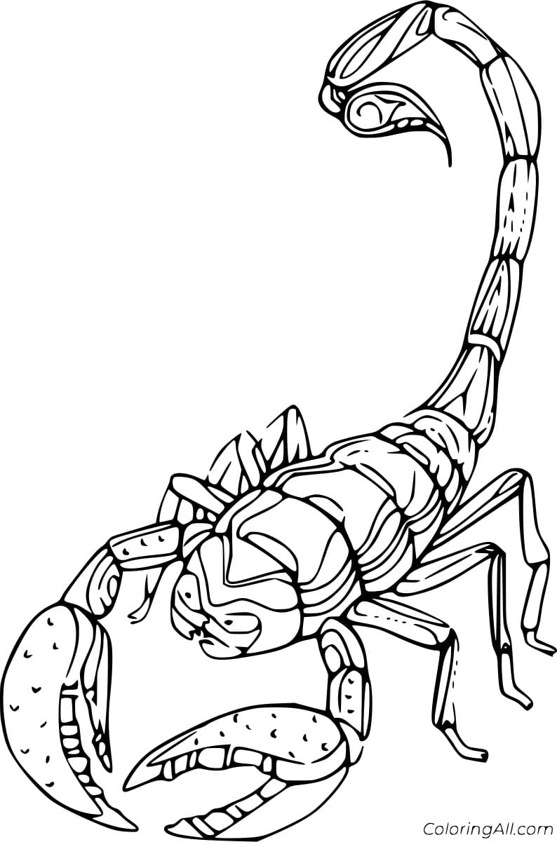 Cartoon Simple Scorpion Free Printable Coloring Page