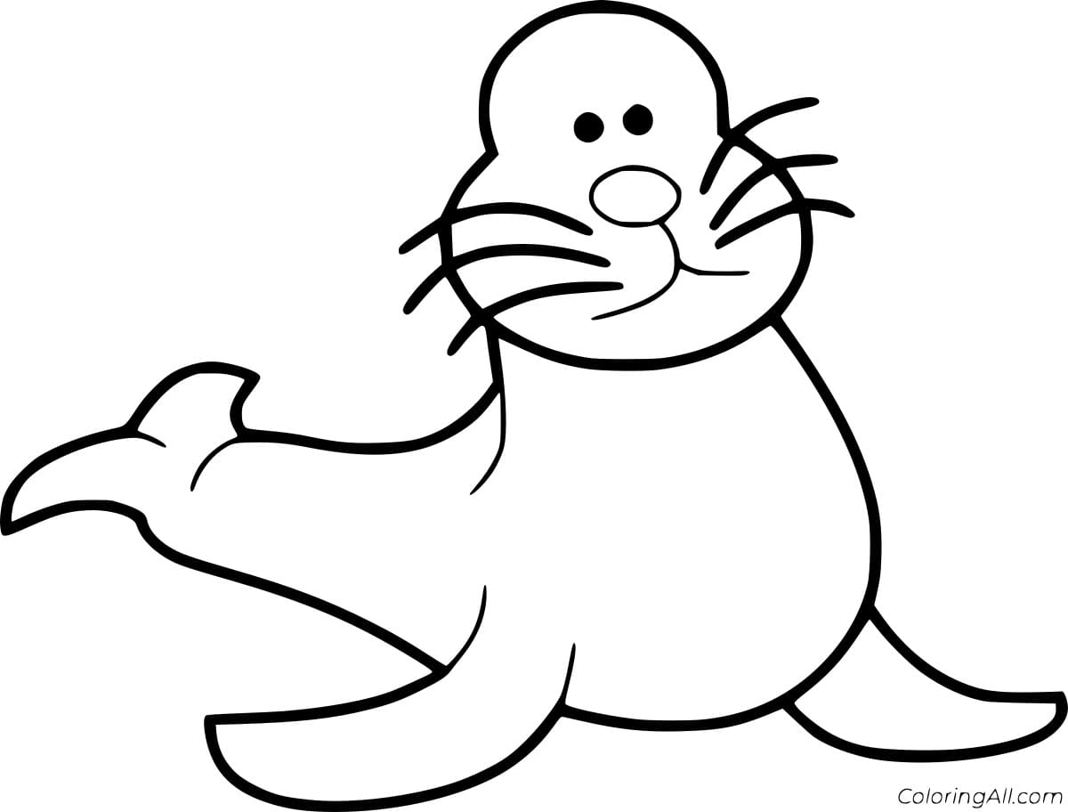 Cartoon Simple Seal Image Coloring Page