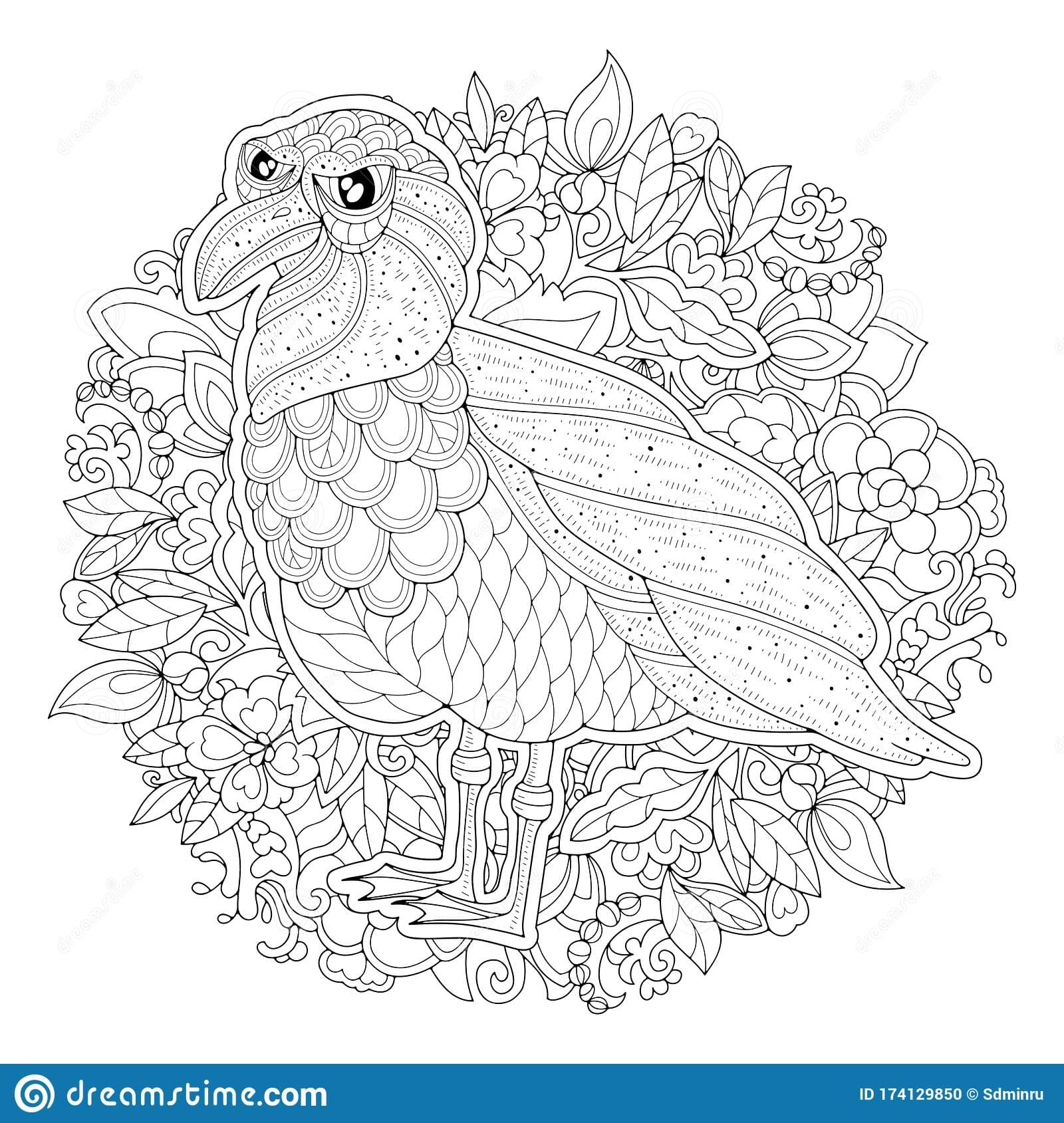 Cartoon Stylized Seagull Picture Coloring Page