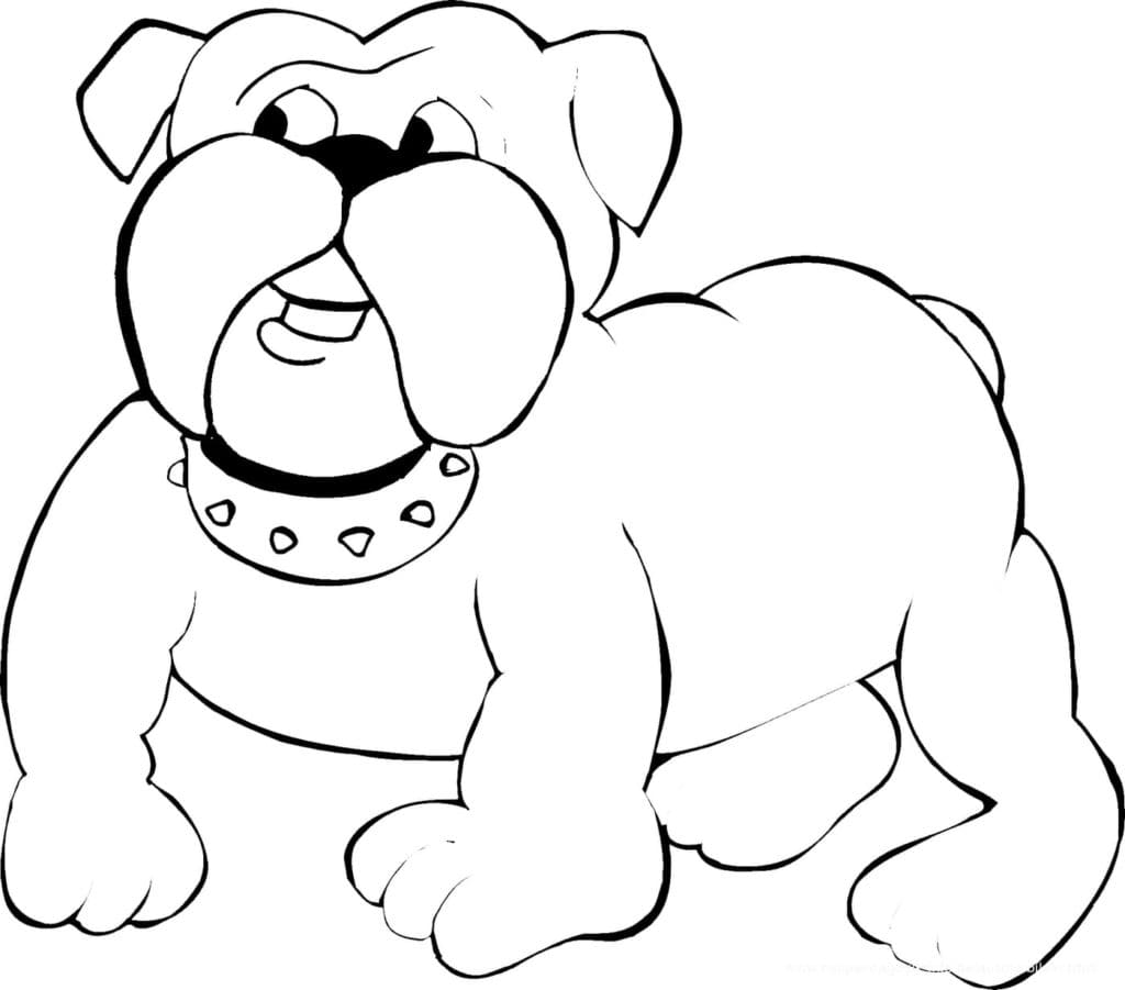 Cartoon bulldog Fabulous Coloring Page
