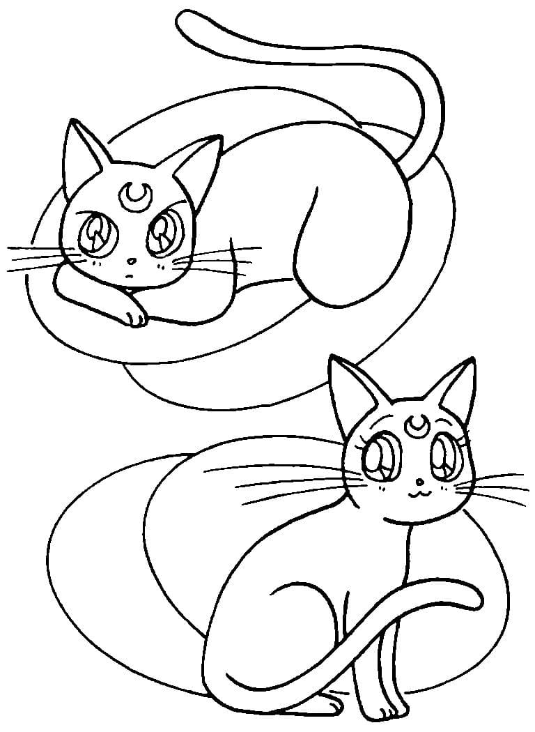 Cats From Sailor Moon Beautiful