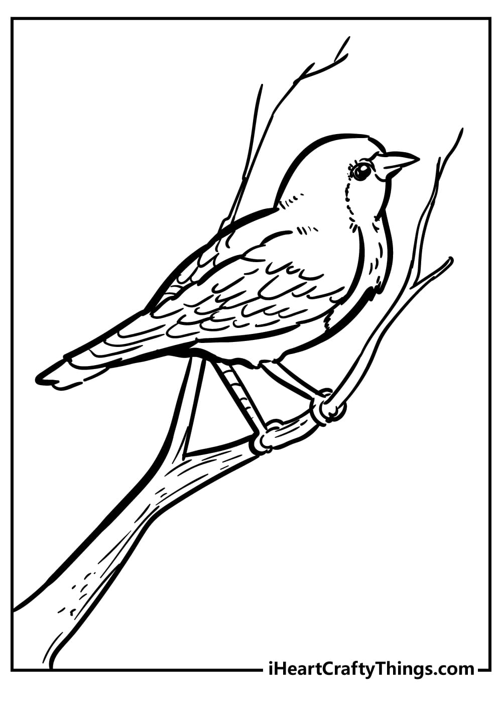 Chirping Mockingbird Amazing Coloring Page