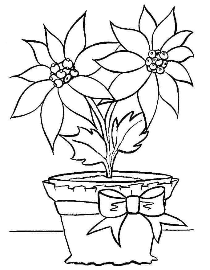 Christmas Poinsettia in a Pot Coloring Page
