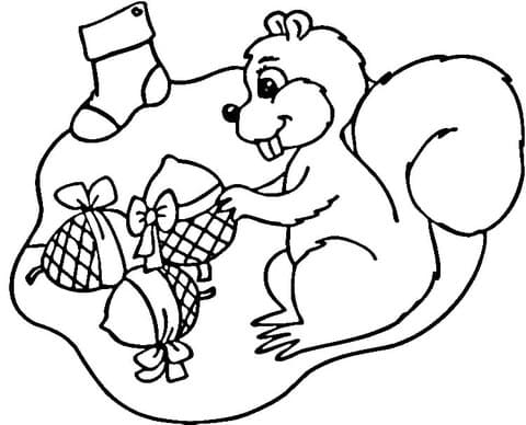 Christmas For Squirrel Image