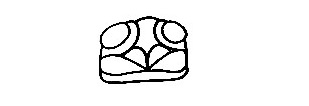 Cicada-Drawing-1