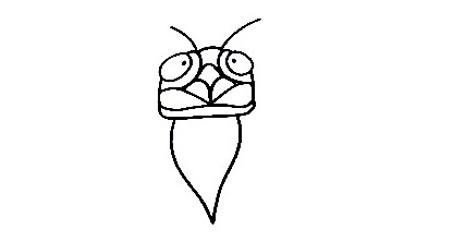 Cicada-Drawing-3