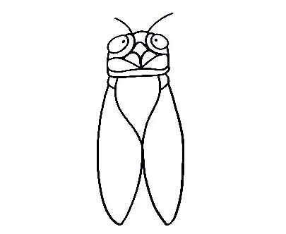 Cicada-Drawing-4