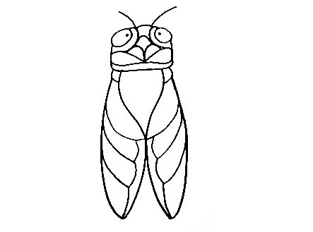 Cicada-Drawing-5