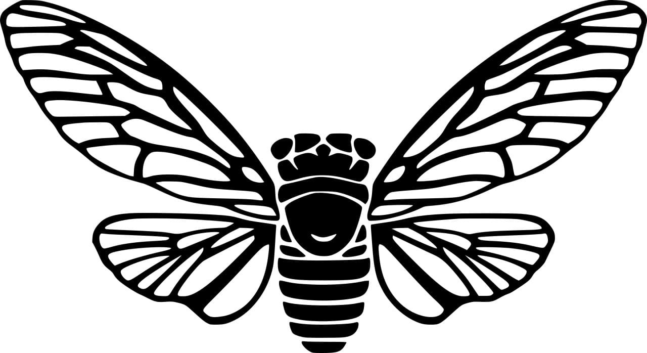 Cicada Silhouette Image