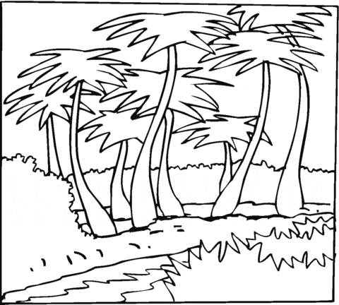 Coconut Palms Outline Coloring Page