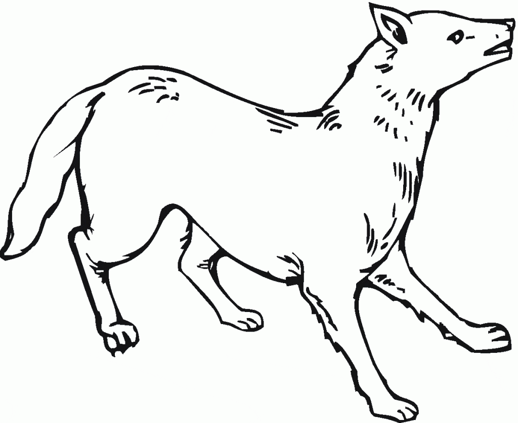 Coloring Of Coyote Image Coloring Page
