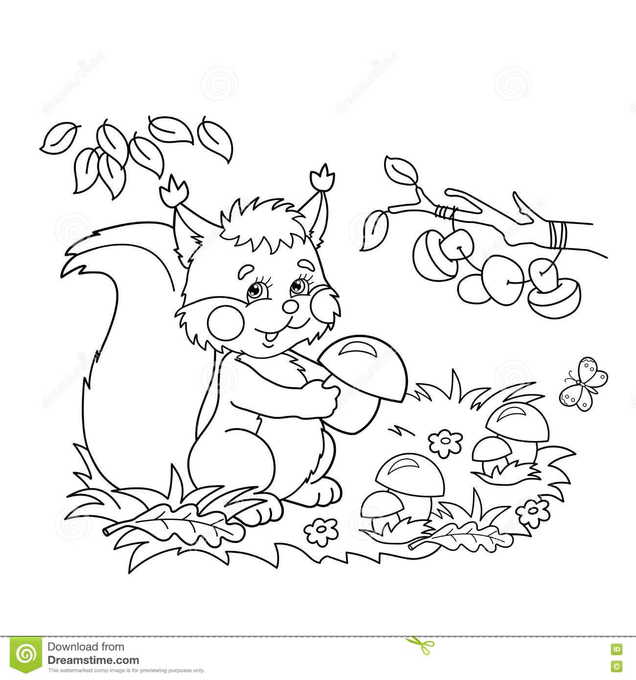 Coloring Page Outline Of Cartoon Squirrel With Mushrooms In The Meadow With Butterflies