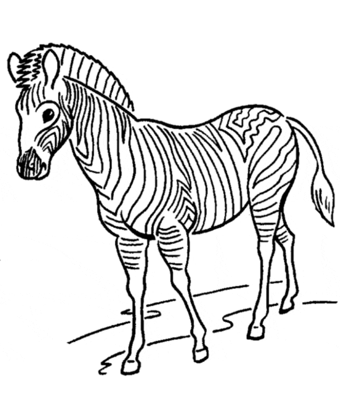 Coloring Page of Zebra Coloring Page