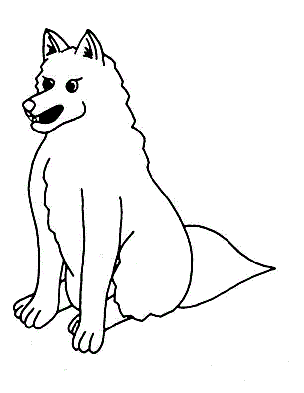 Coloring Pages of Coyote Coloring Page