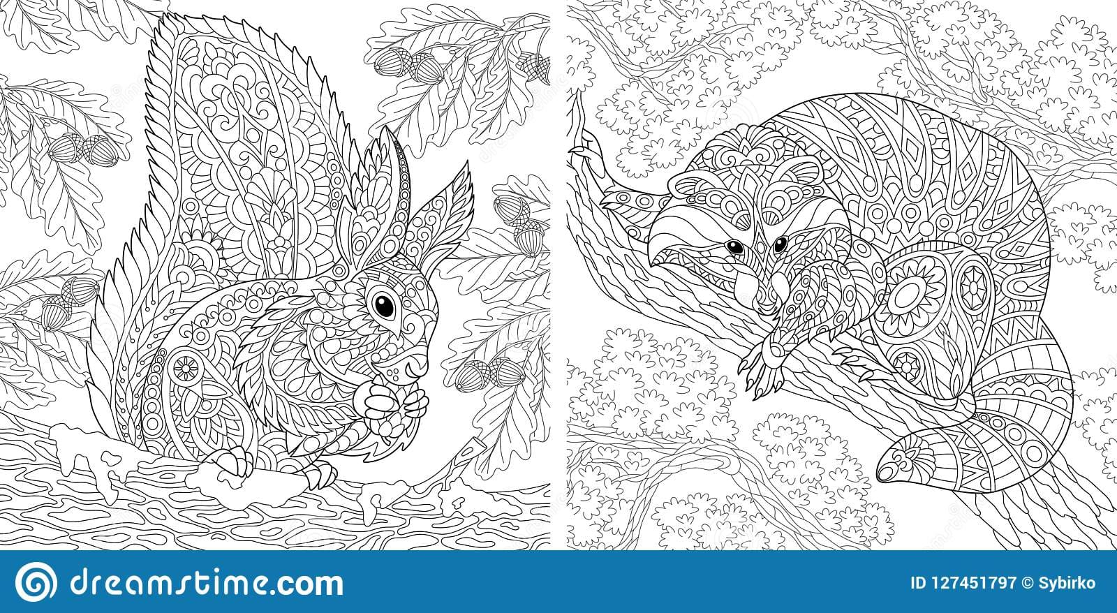 Coloring pages With Squirrel And Raccoon Coloring Page