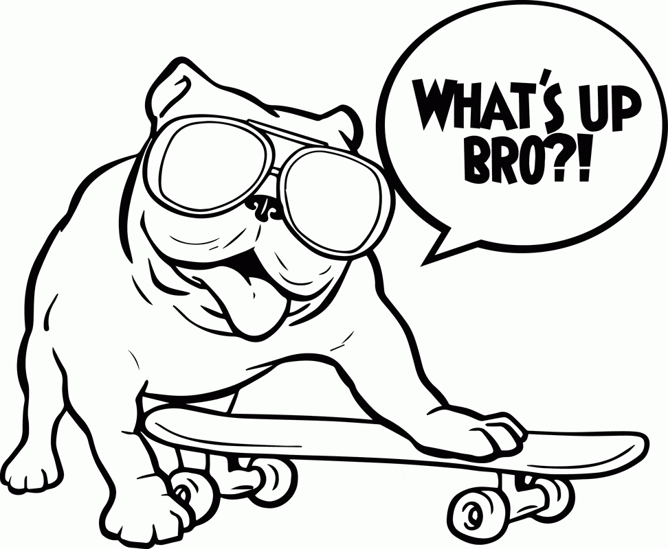 Cool Skateboarding Bulldog