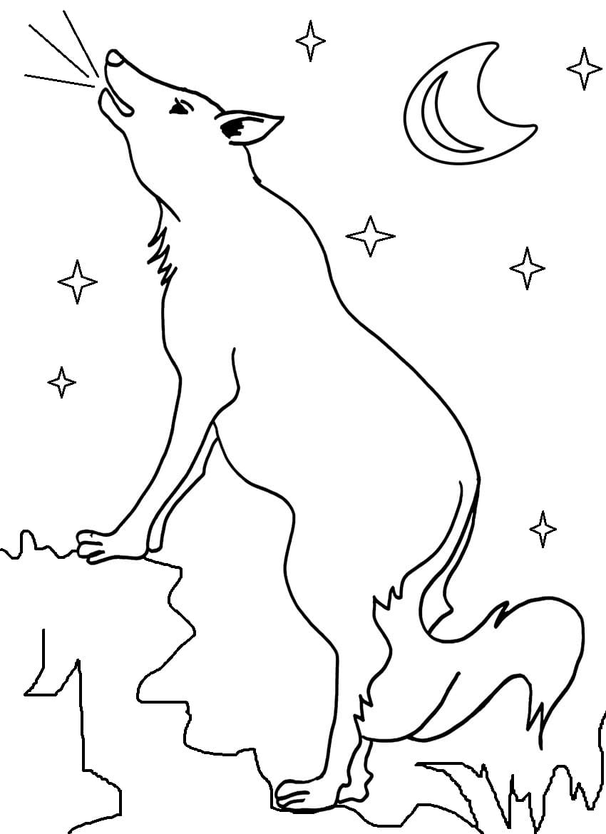 Coyote Amazing Image Coloring Page