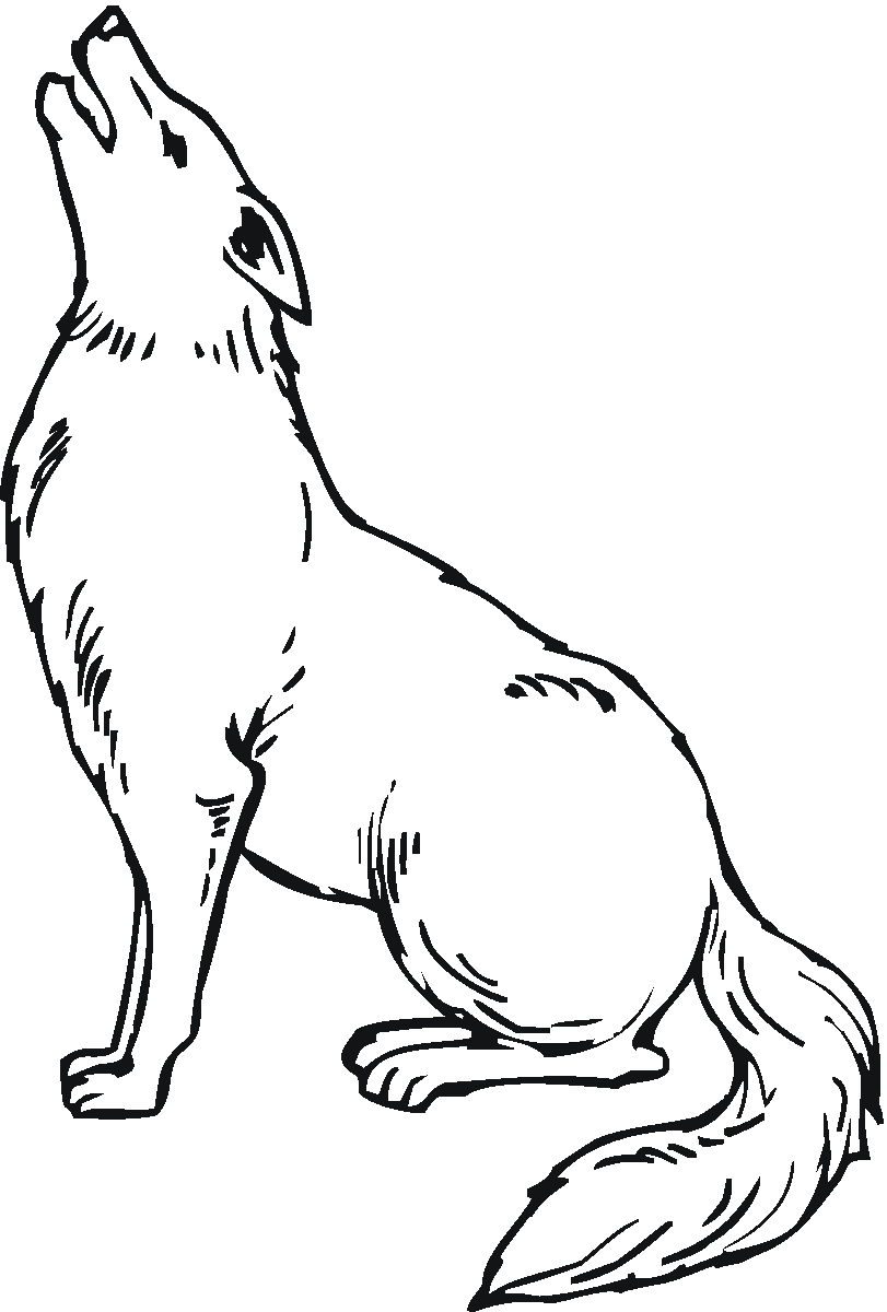 Coyote Amazing Coloring Page