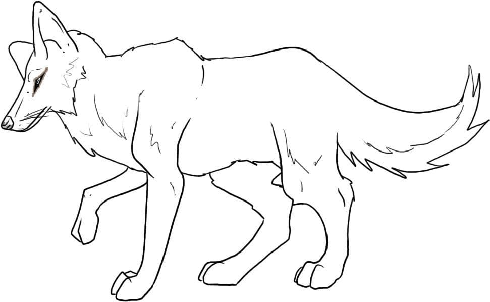 Coyote Animal To Print Coloring Page
