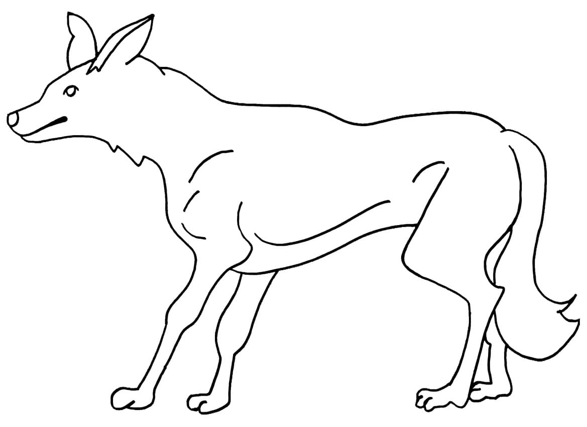 Coyote Appealing Coloring Page