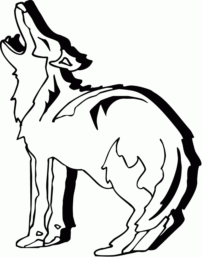 Coyote Desert Animals Image Coloring Page