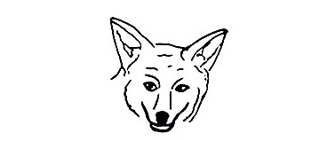 Coyote-Drawing-1