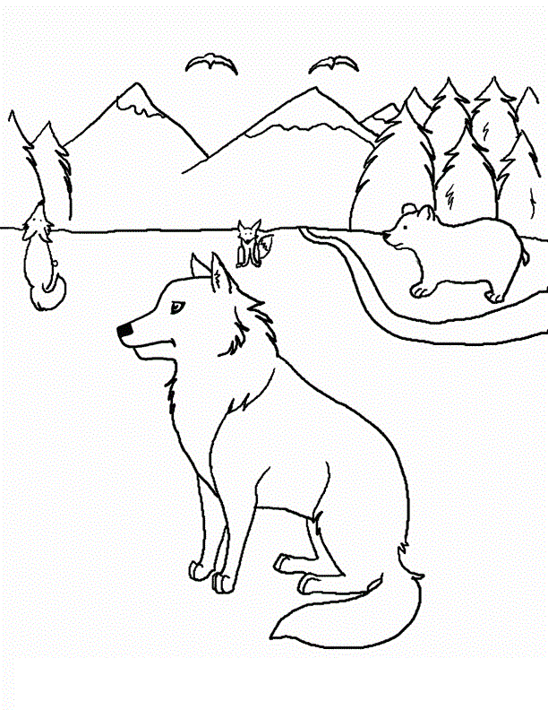 Coyote Drawning Coloring Page