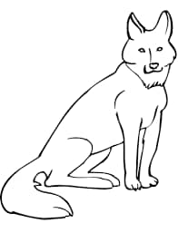 Coyote For Kids Image Coloring Page